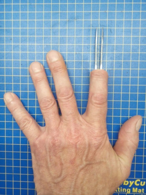 Finger2.jpg