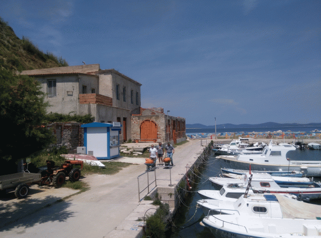 Susak 03.gif